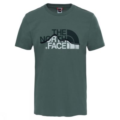 Tee The North Face Mountain Line Hombre Verde - Chile UFE298374